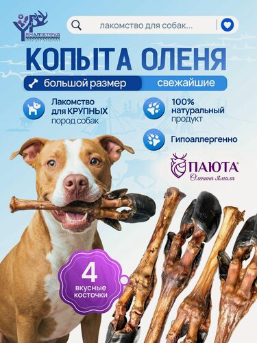 Изображение товара Лакомство для собак Нога оленя для крупных пород 4 штуки, Паюта