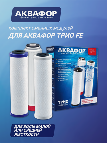 Изображение товара Комплект сменных модулей для Аквафор Трио Fe Н на год ( В510-08-04-07 ), 3 шт.