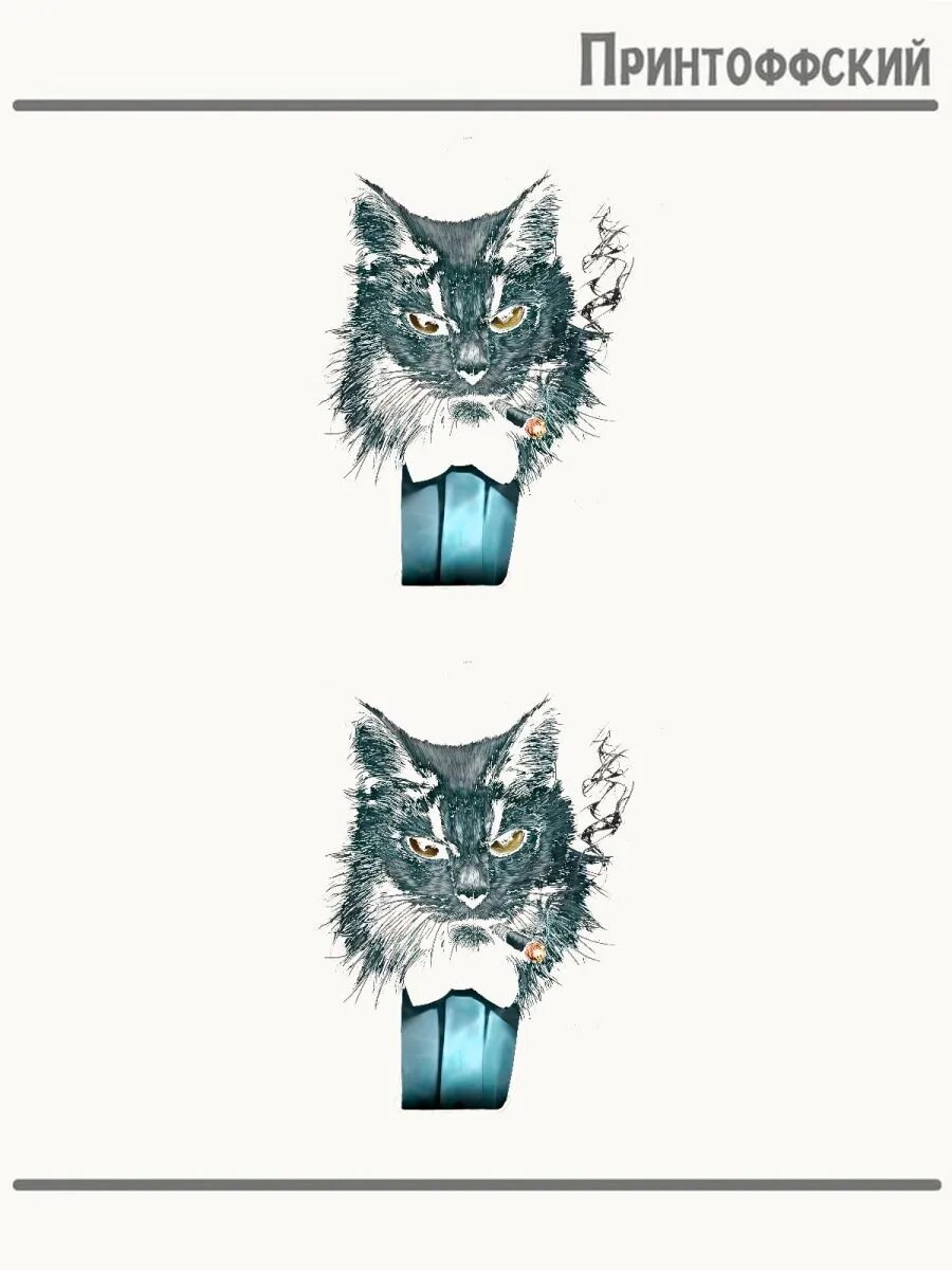 2-е (Две) Термонаклейки Кот