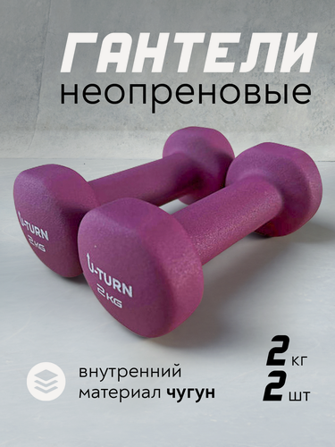 Изображение товара Набор неопреновых гантелей с плоским концом 2шт по 2 кг, цвет розовый (Арт. ФИТ-0236)