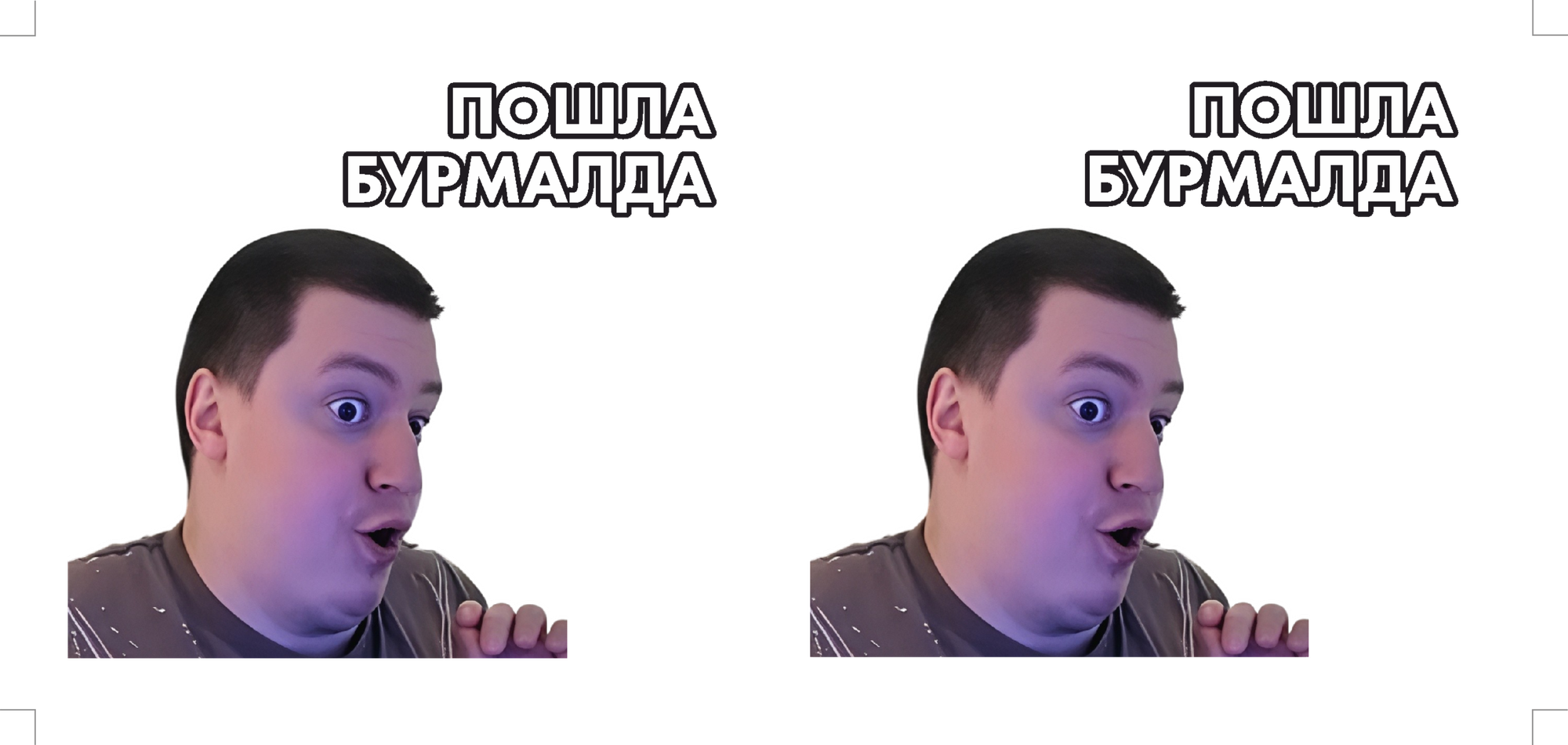 Кружка хамелеон пошла бурмалда мем