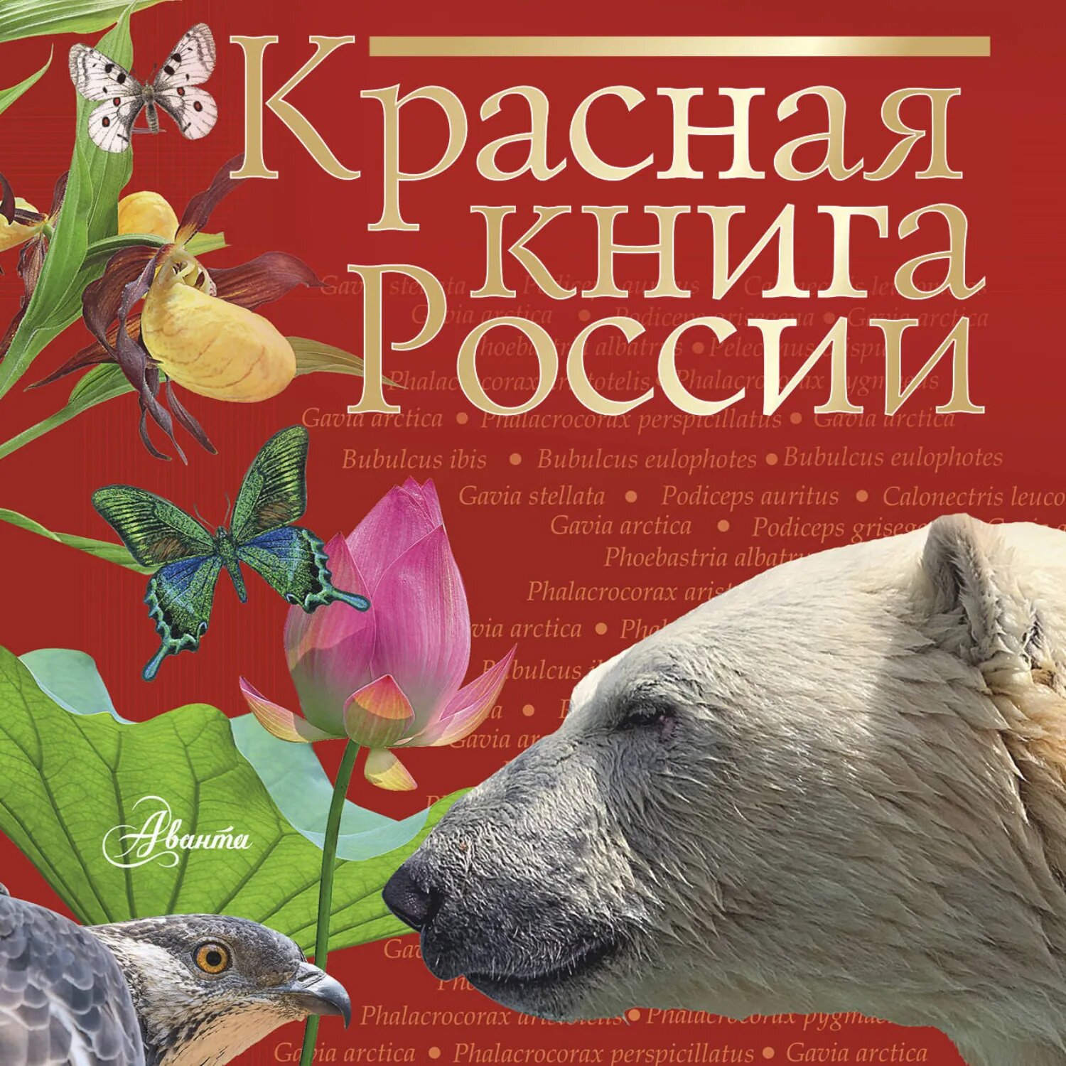 Красная книга России [Аудиокнига]