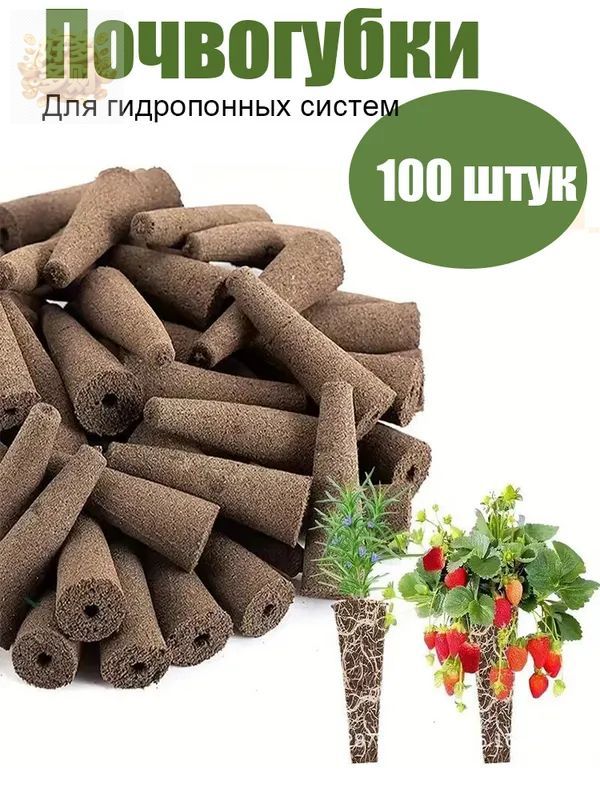 Умный сад