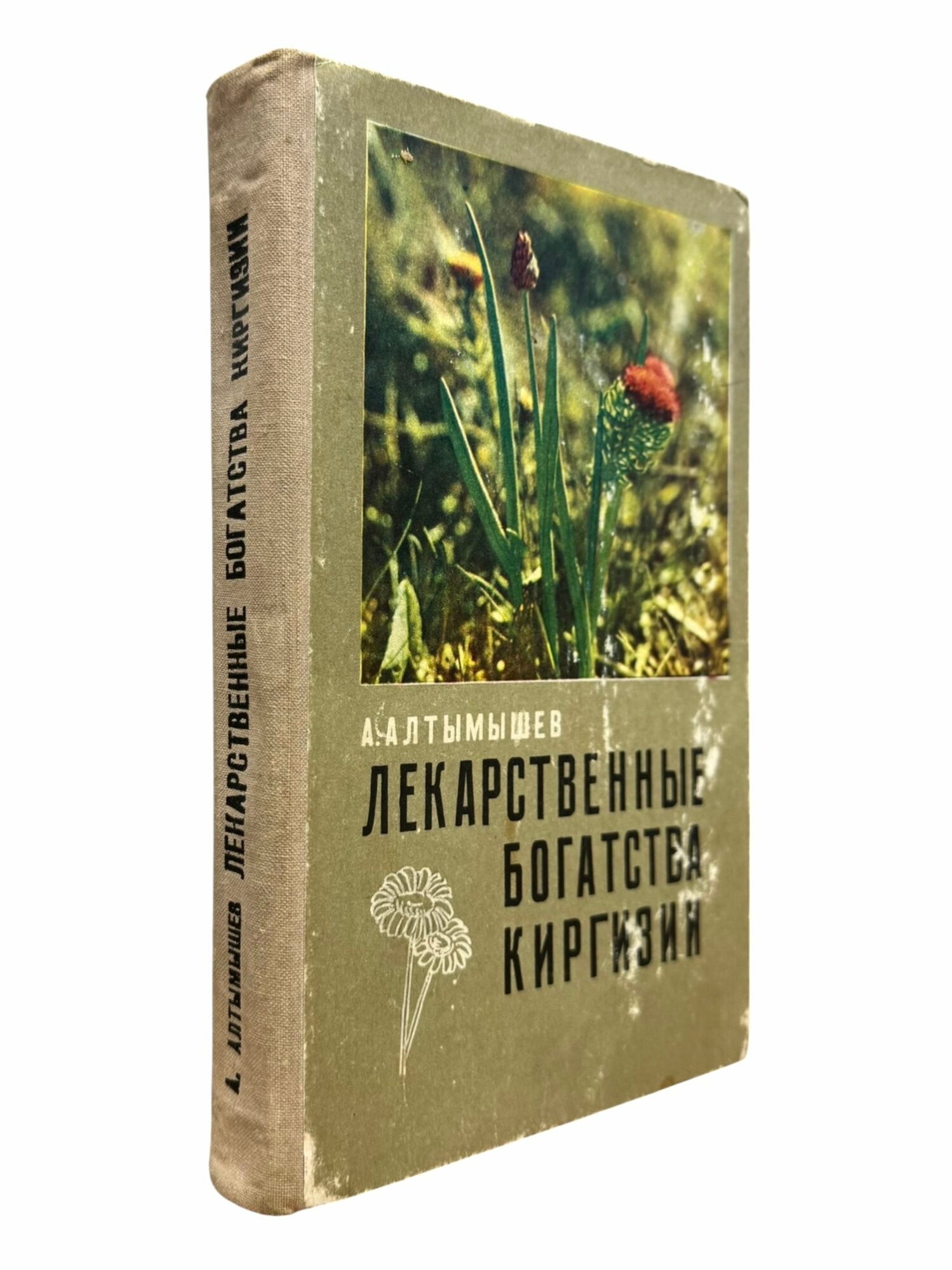 Лекарственные богатства Киргизии