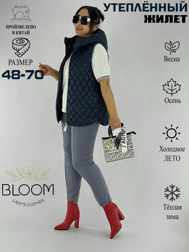 Изображение товара Жилет 2025-20256г