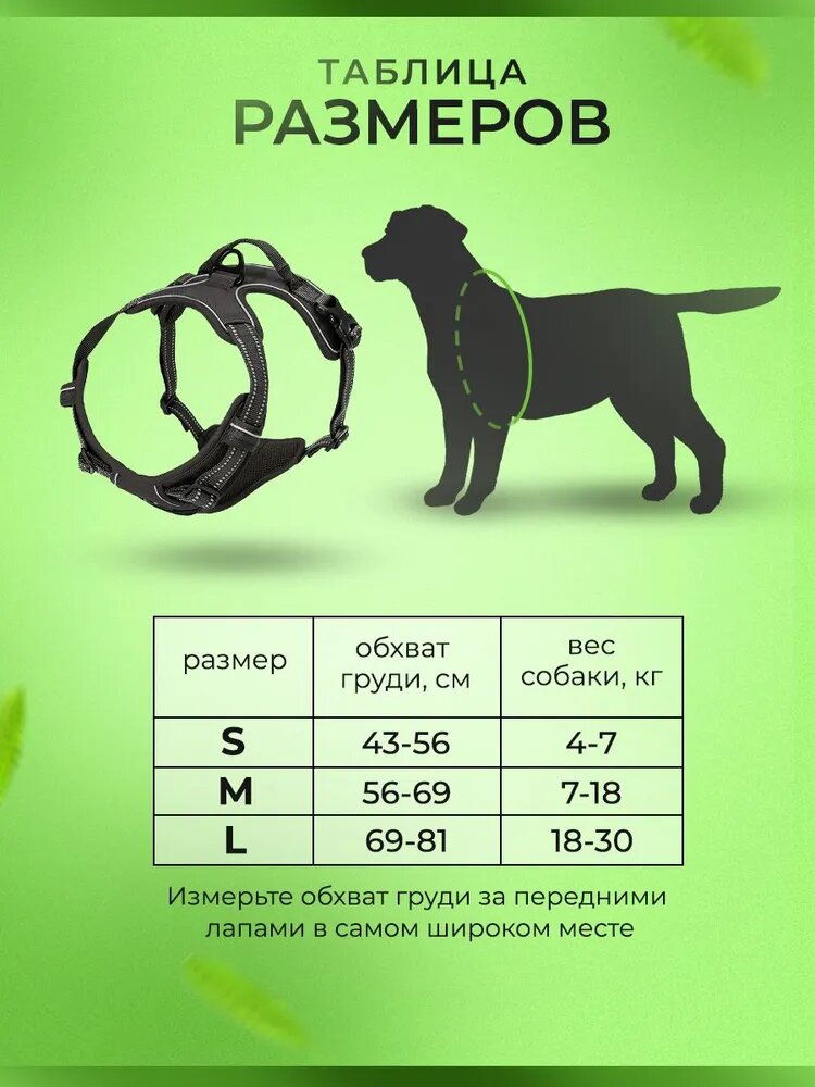 Шлейка — фото 1