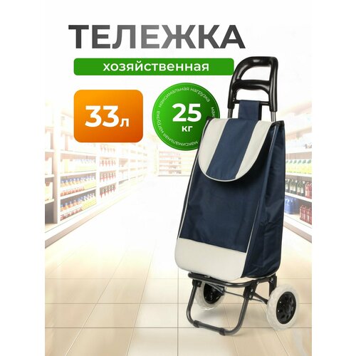 фото Сумка дорожная рыжий кот, синий