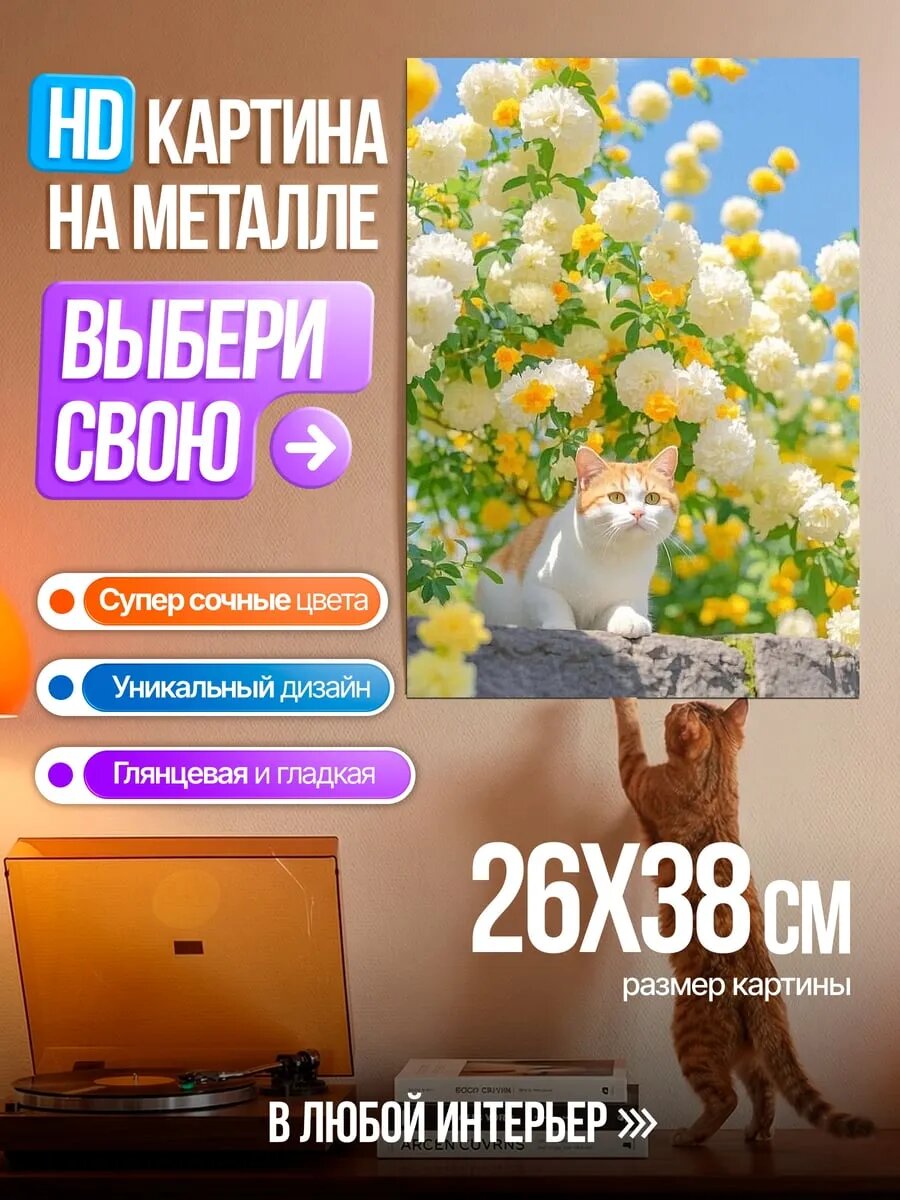 Картина на HD металле Кот среди роз