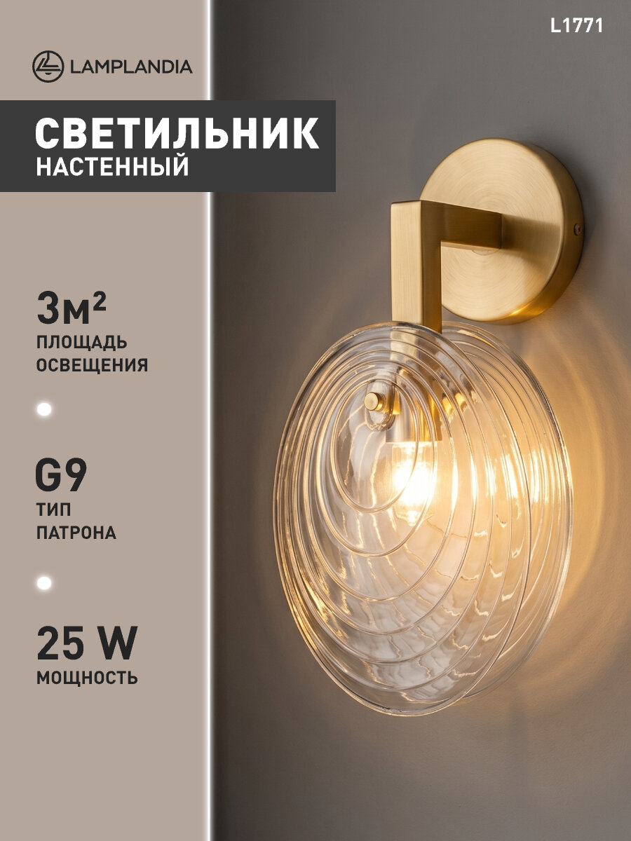 Светильник настенный Lamplandia L1771 SHELL GOLD CLEAR, G9*1 макс 25Вт