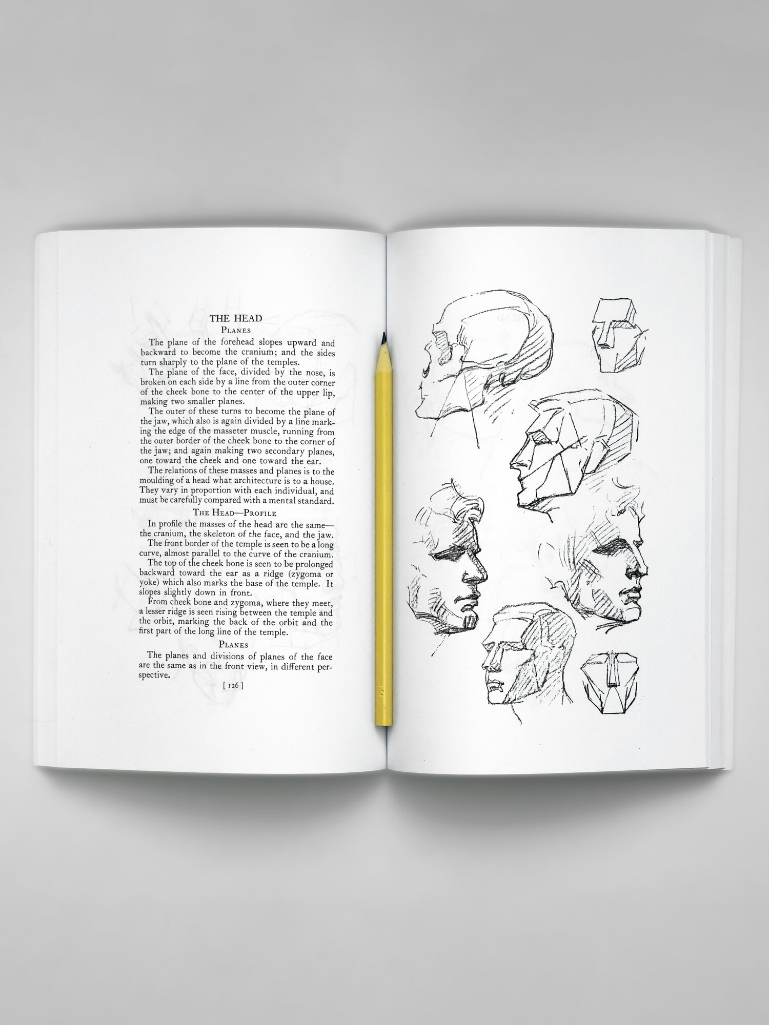 Constructive Anatomy (Fully Illustrated) — фото 1