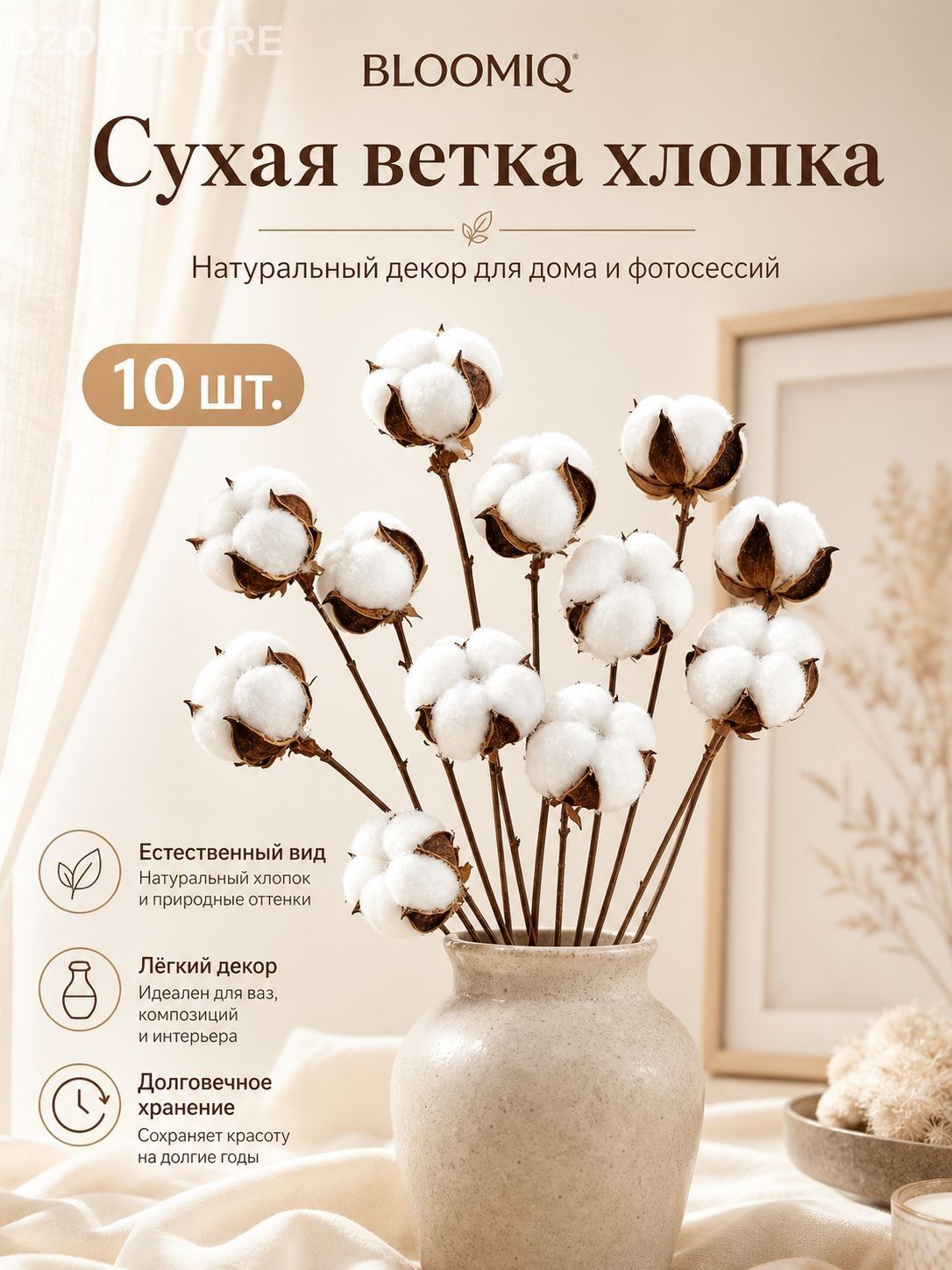 Сухоцветы Хлопок 36 см 10 шт белый