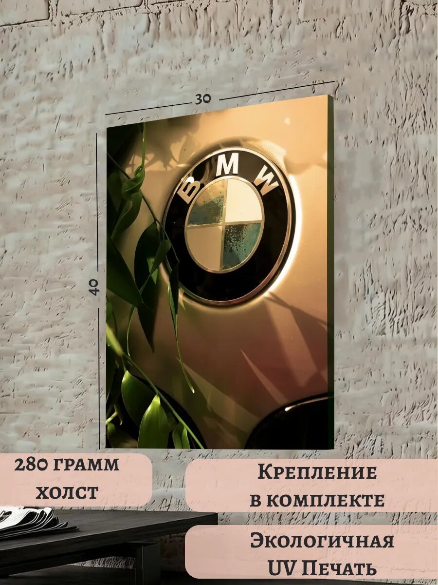 Картина 30х40 логотип BMW БМВ