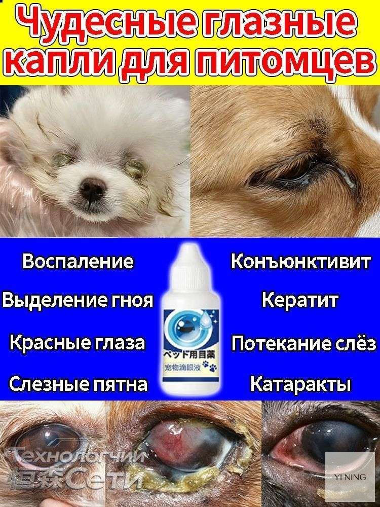Капли для глаз для собак и кошек от гноя