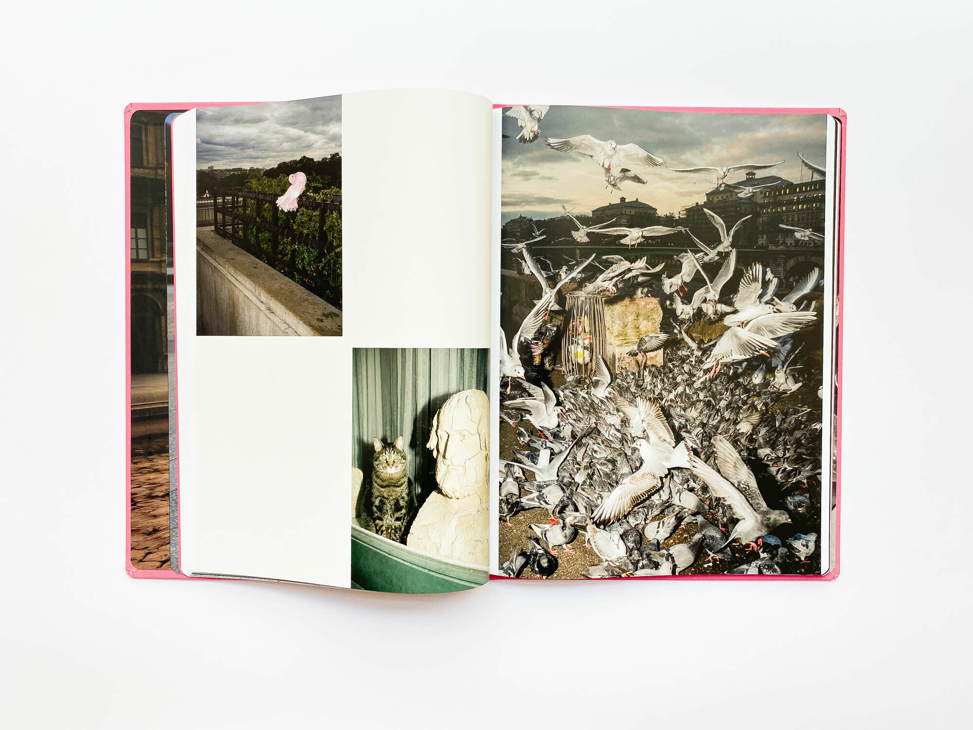Paris by Feng LI (Fashion eye)