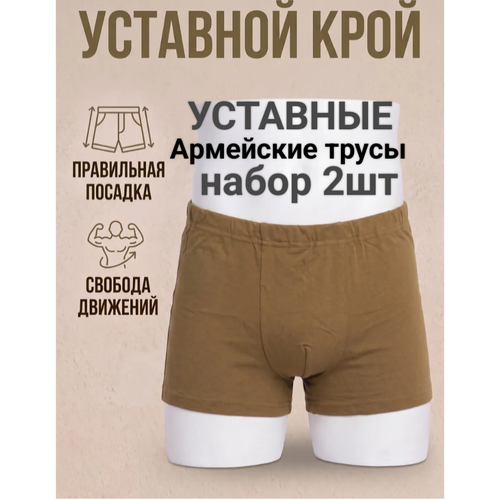 Трусы Трусы вкпо/ олива, комплект из 2 шт., размер 46, песочный
