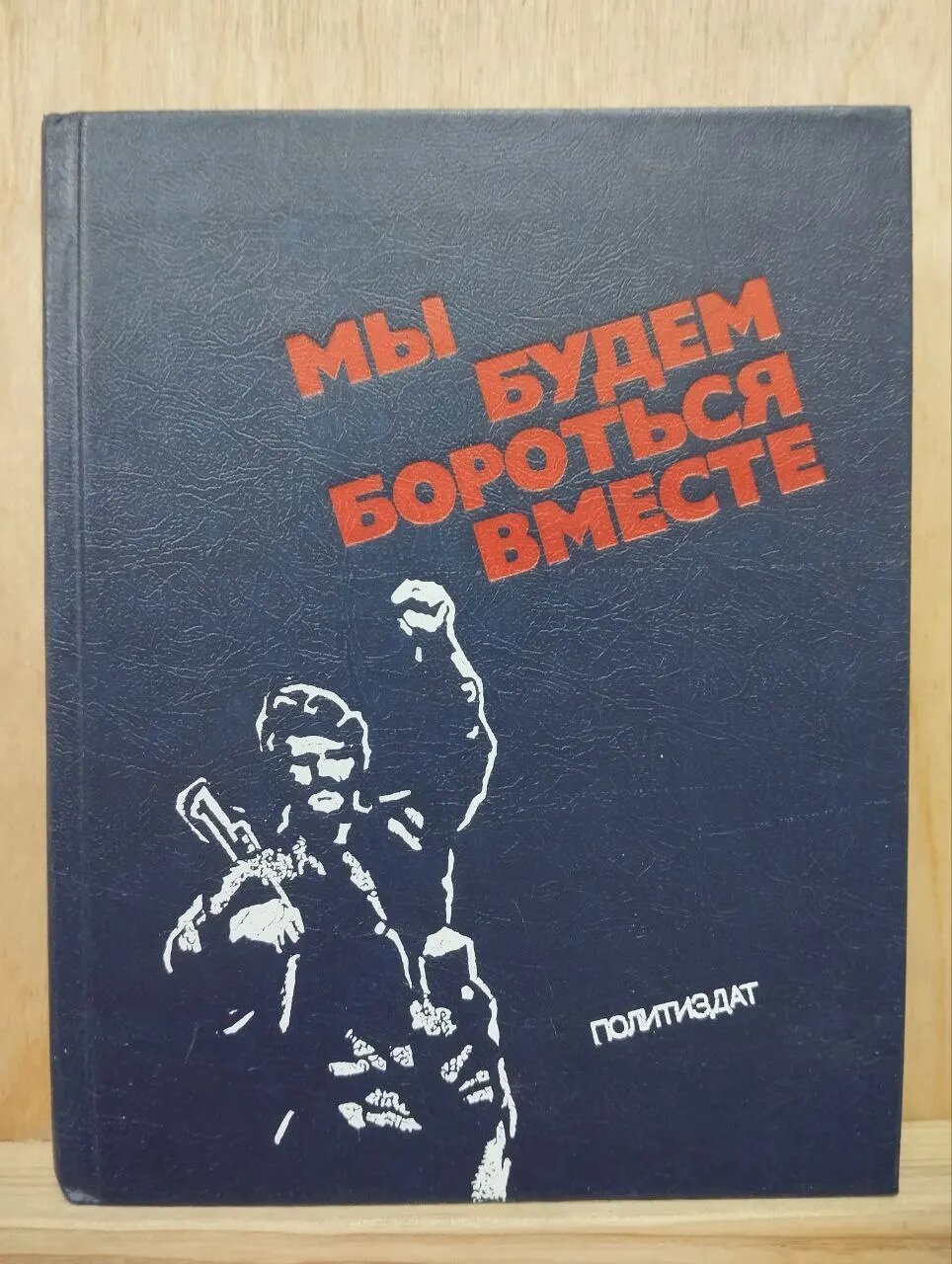 Мы будем бороться вместе: Очерки о бойцах-интернационалистах