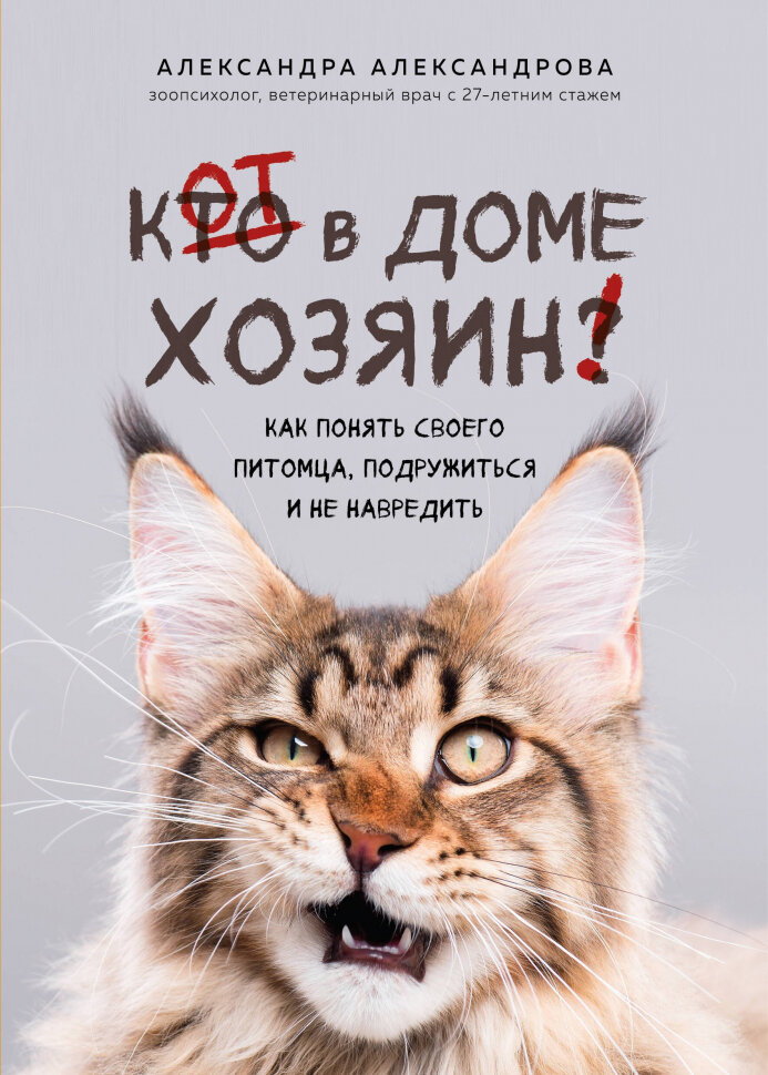 Кот в доме хозяин! Как понять своего питомца, подружиться и не навредить