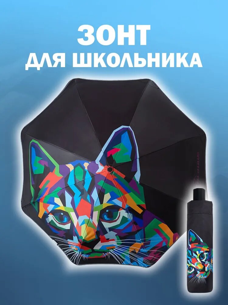 Зонт