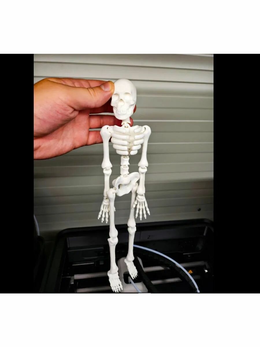 Гибкий Скелетон 3D печать из пластика