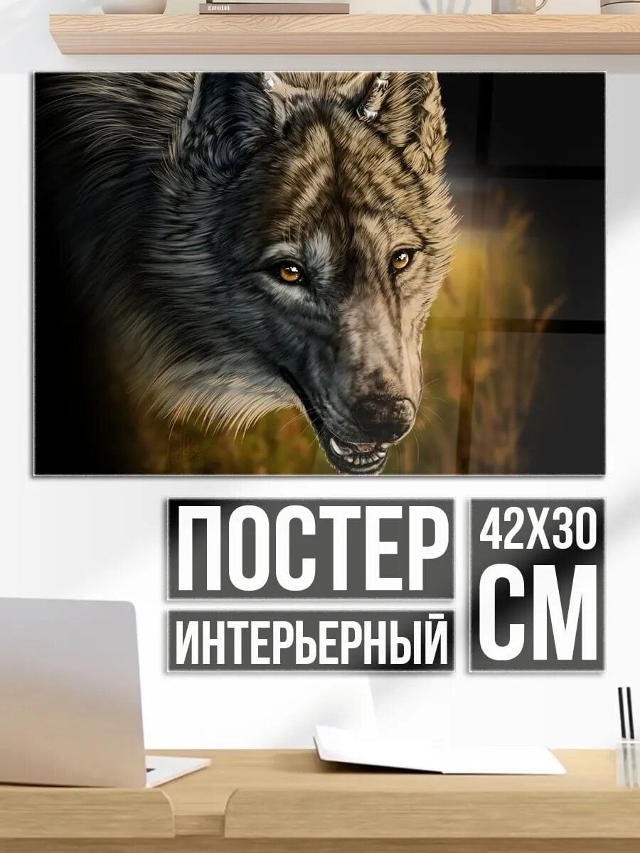 Плакат постер Портрет волка
