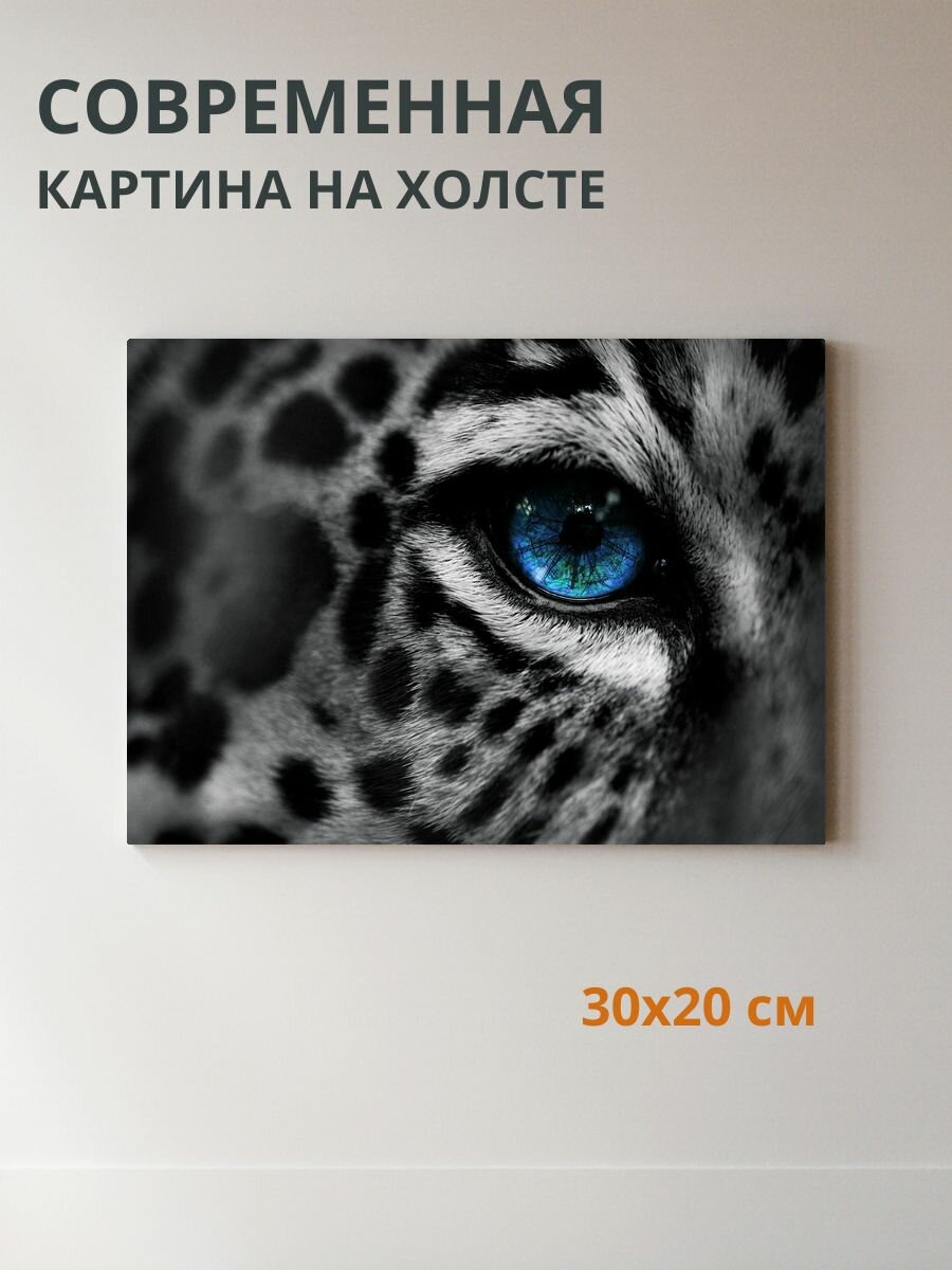 Картина на холсте Глаз леопарда 30x20 см
