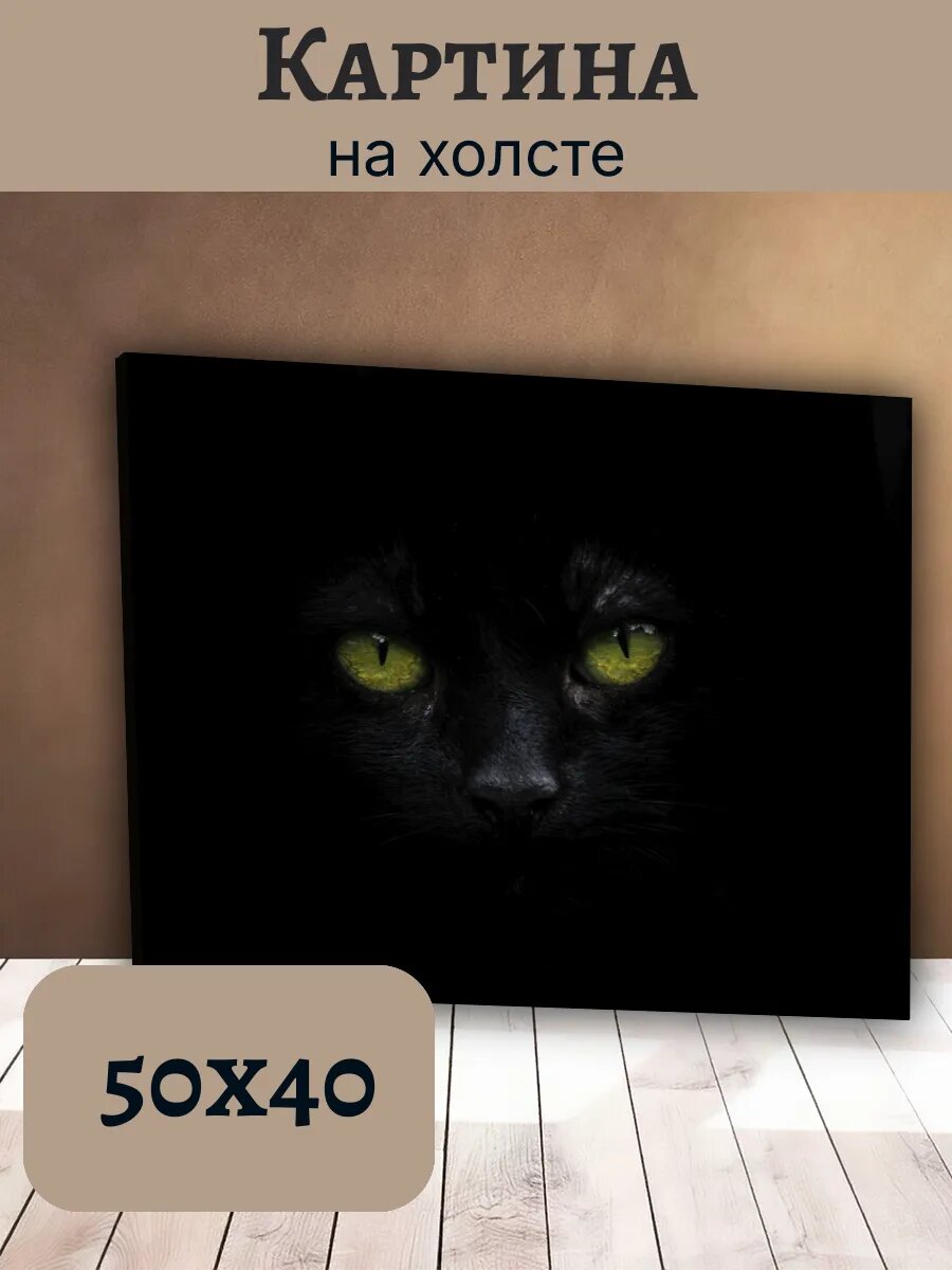 Картина Кот Кошка Cat 40x50 черный кот с зелеными глазами