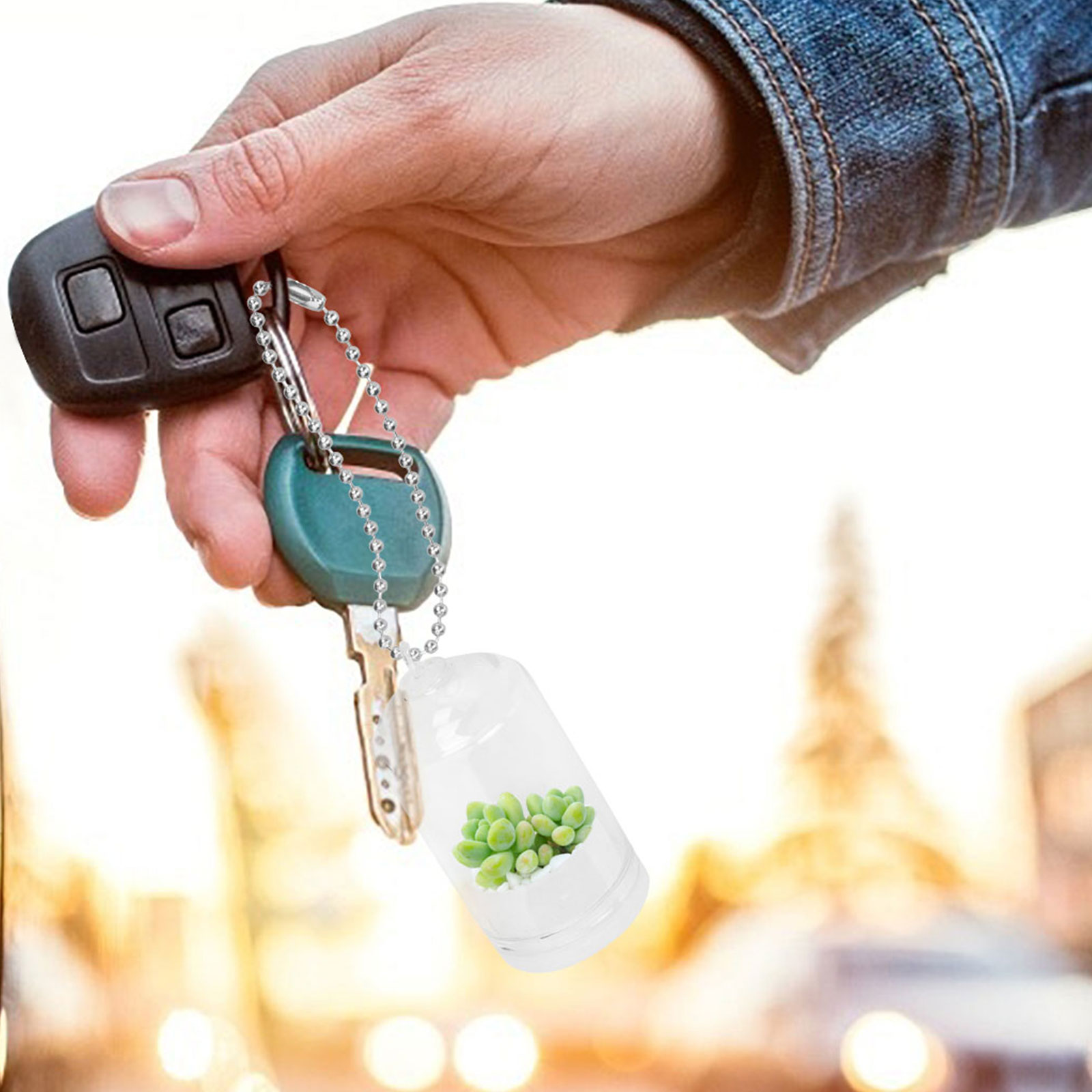 5 Шт Мини Кактус Террариум Ключница ПодвескаDIY Ключница Подвеска Без Растений Размер 6x3 См Белый