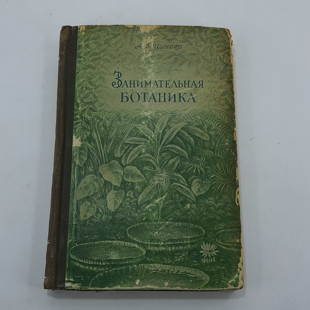 "Занимательная ботаника" А. В. Цингер