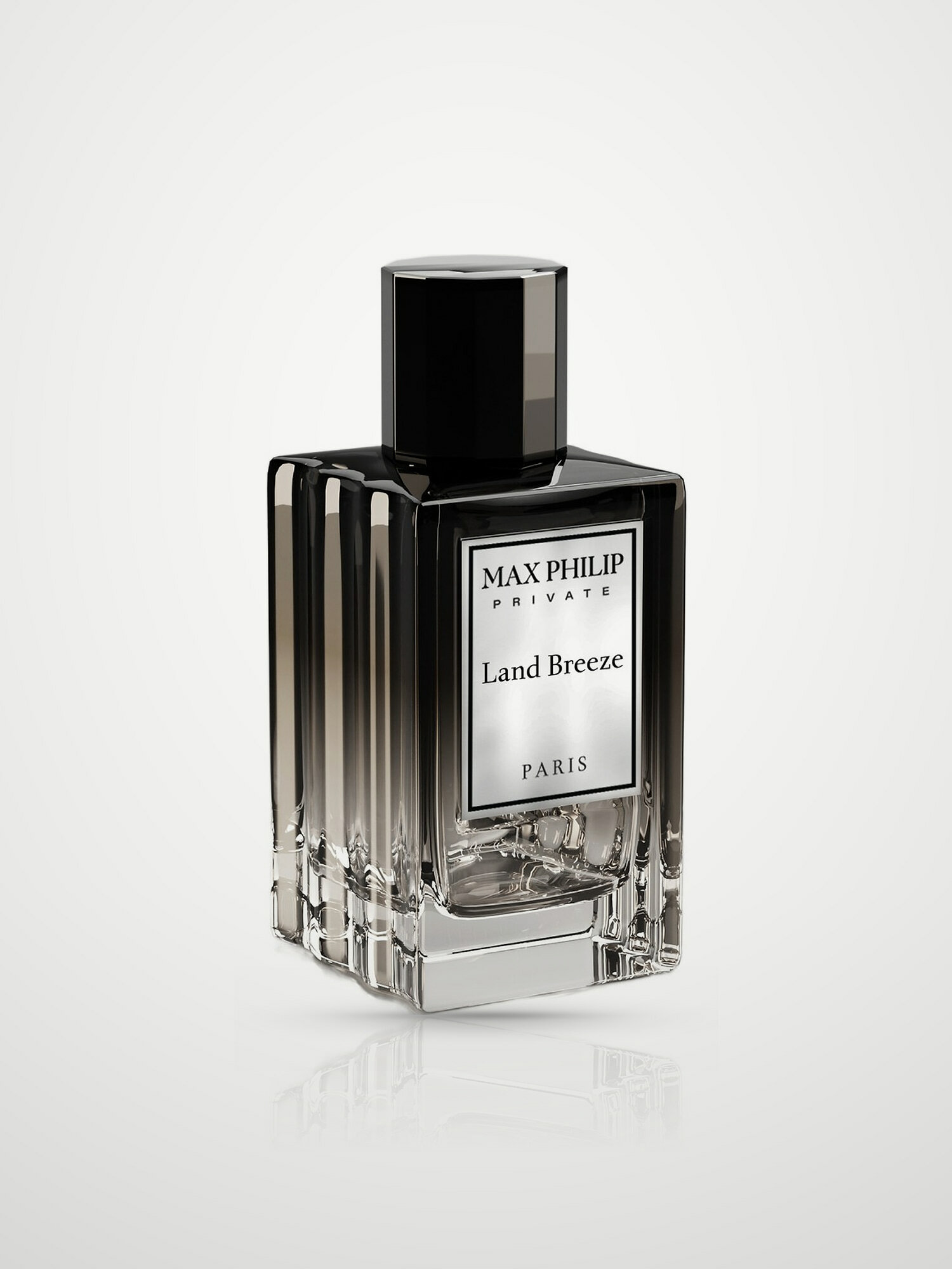 Парфюмерная вода Max Philip Land Breeze Eau de Parfum женская 100 мл