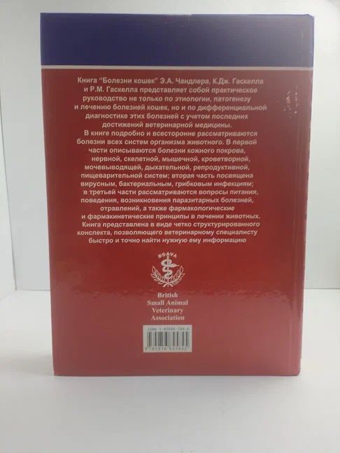 Болезни кошек — фото 1