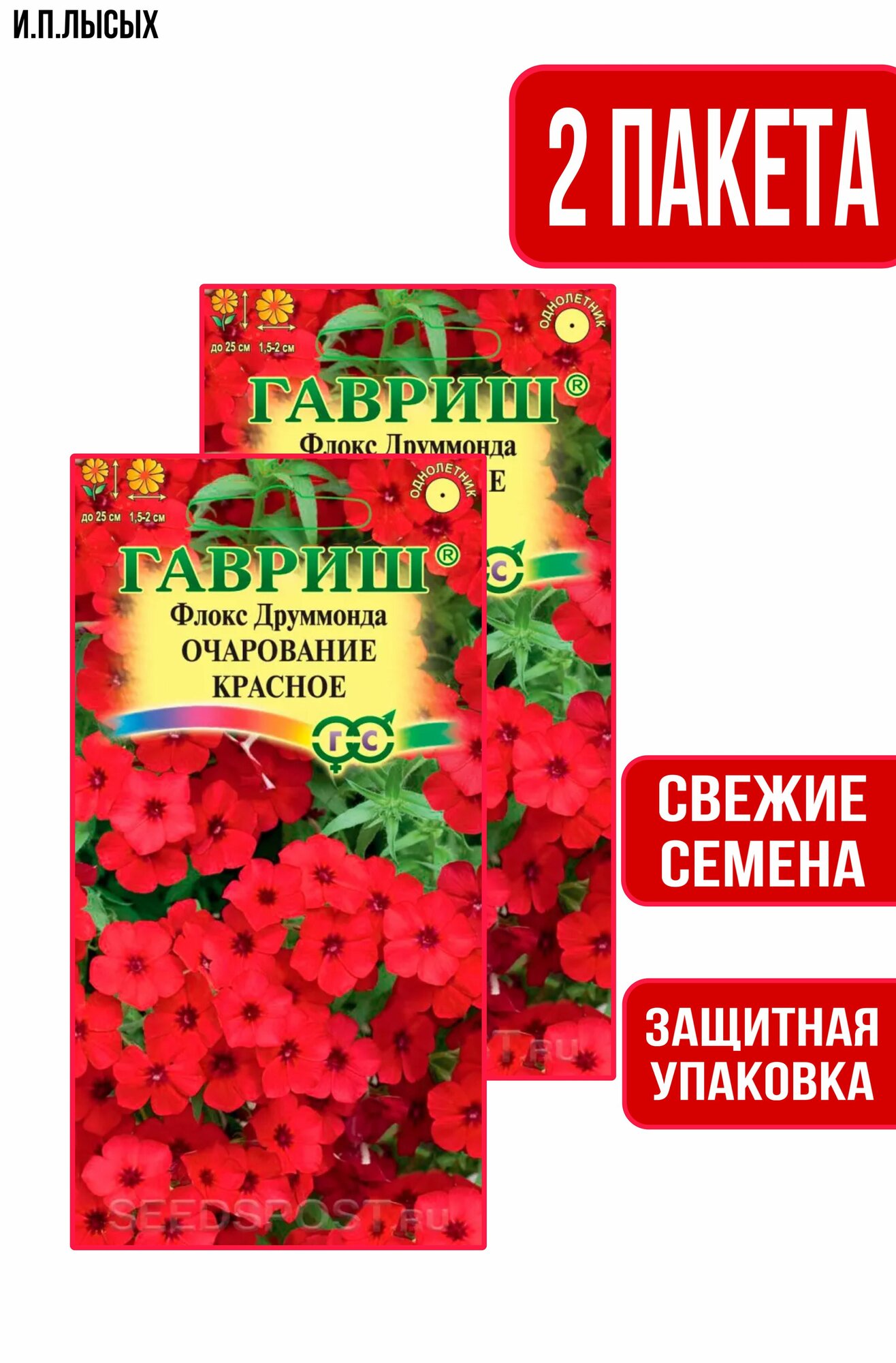 Семена цветов Флокс Очарование красное, друммонда