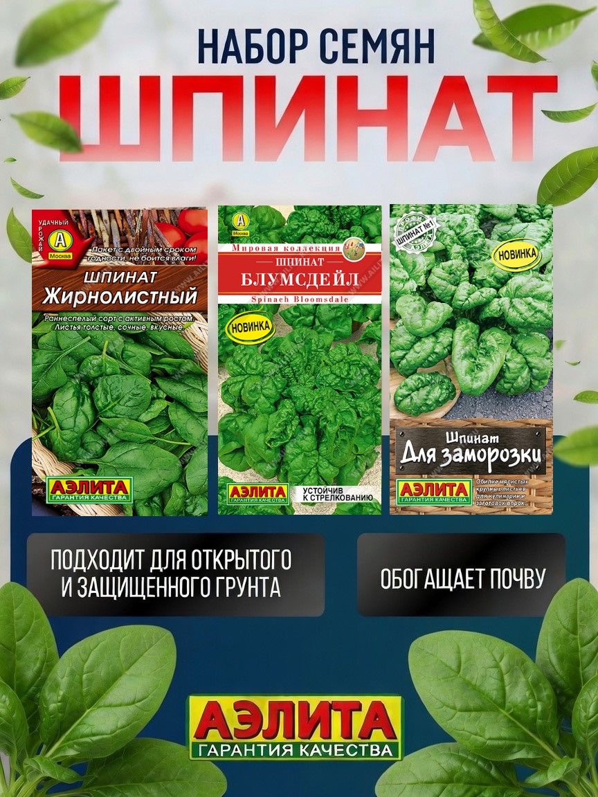 Набор семян шпината (3 пакетика): Жирнолистный, Блумсдейл, Для заморозки