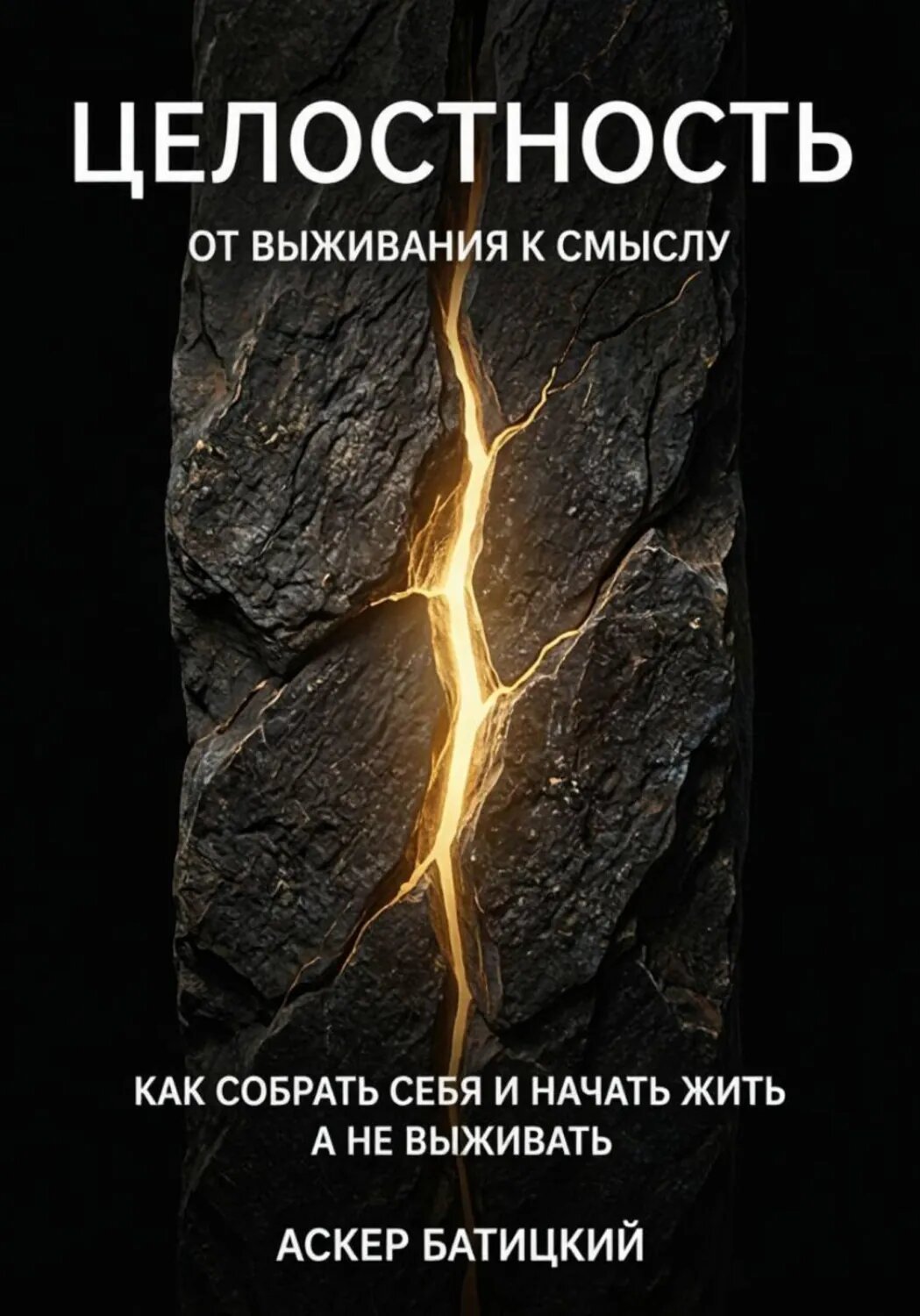 Целостность. От выживания к смыслу. Как собрать себя и начать жить, а не выживать [Цифровая книга]