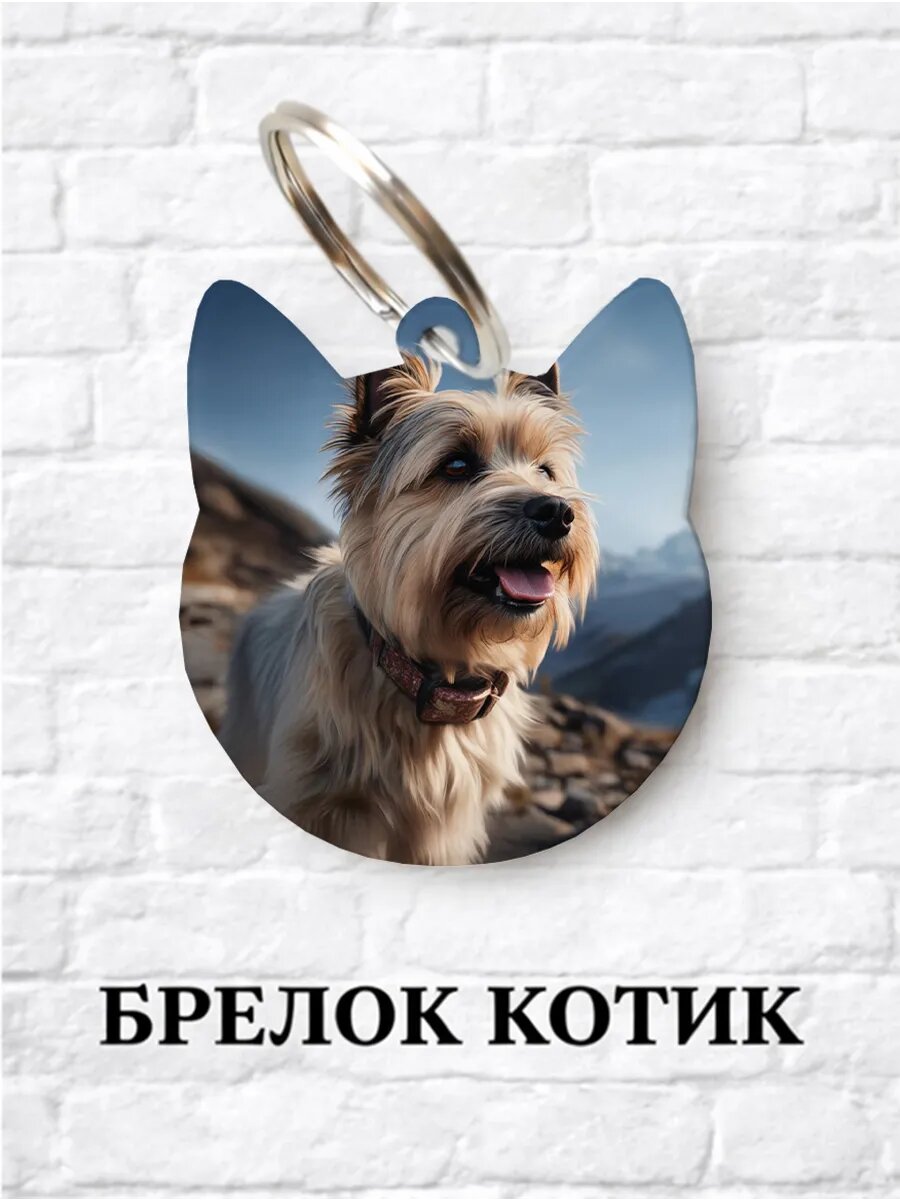 Брелок ZHENYA CLOUD