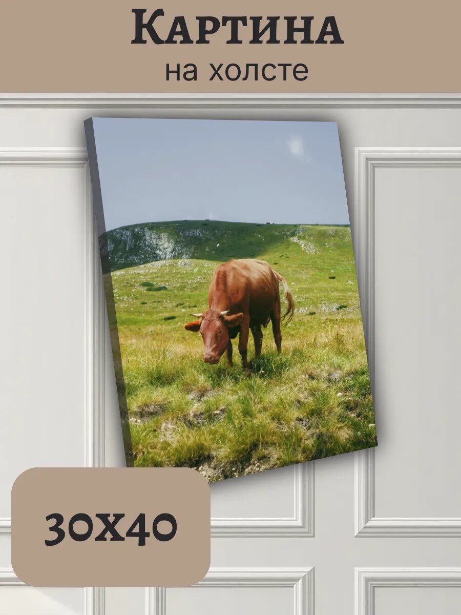 Картина Черногория Montenegro 30x40 пасторальный пейзаж