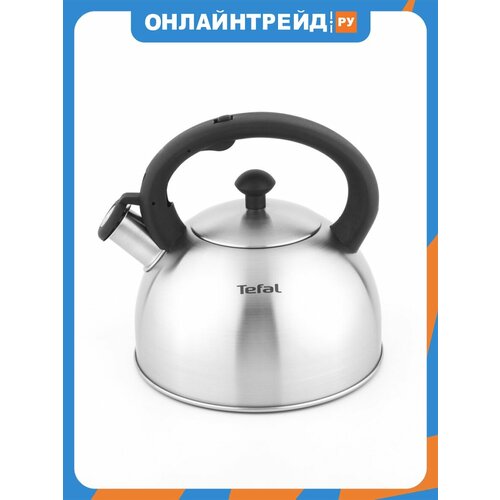 Чайник Tefal 2.5 л, нержавеющая сталь, матовый (N4210117)