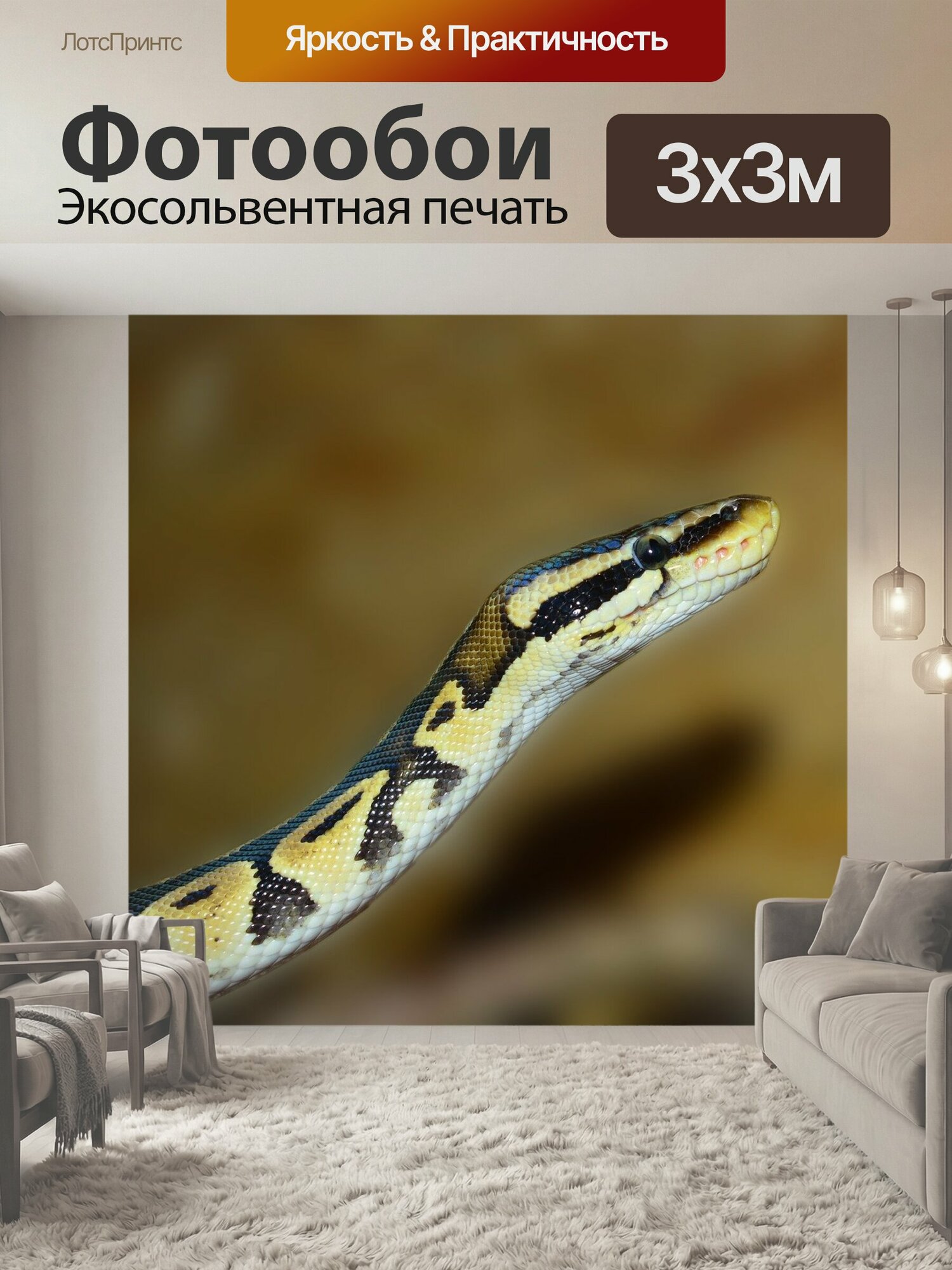 Фотообои "Линия, питон, ball python" 300x300 см. экосольвентная печать