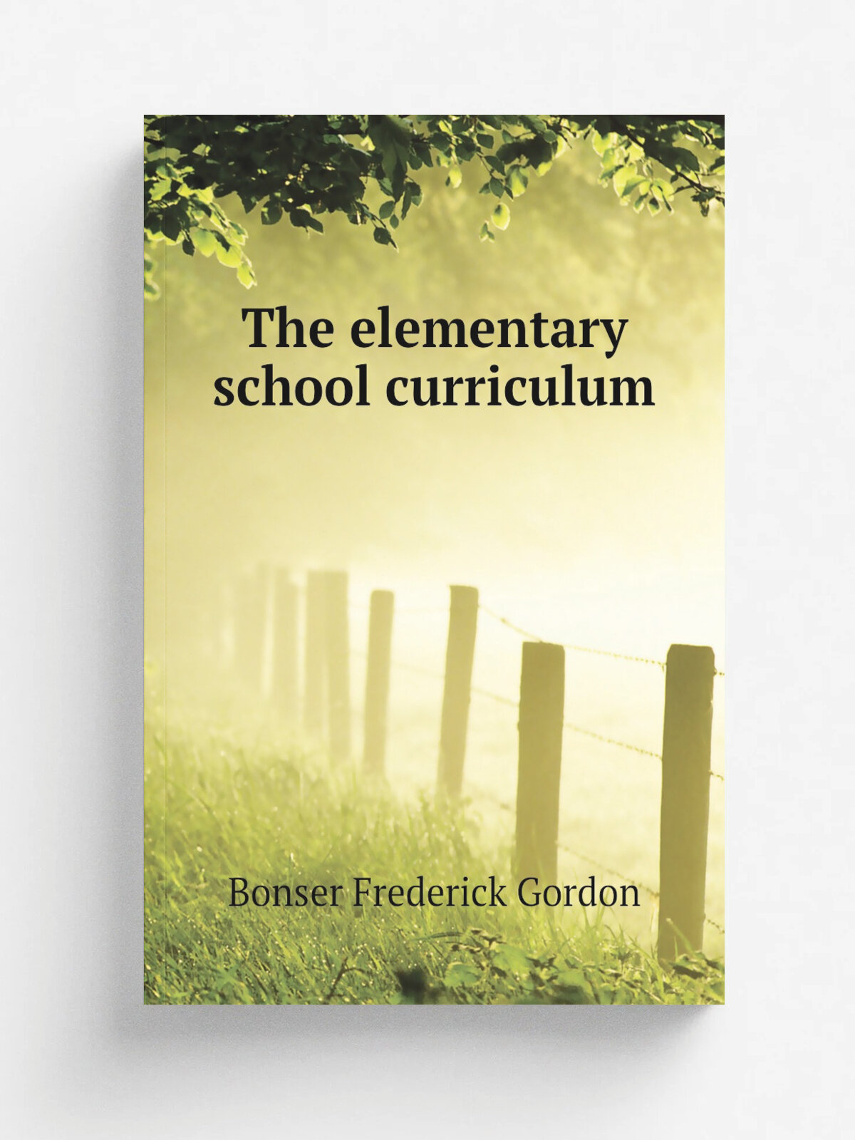 The elementary school curriculum | Bonser Frederick Gordon | Репринт
