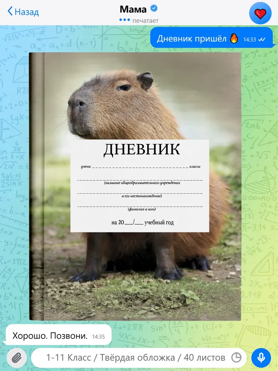 Школьный дневник с принтом Роблокс