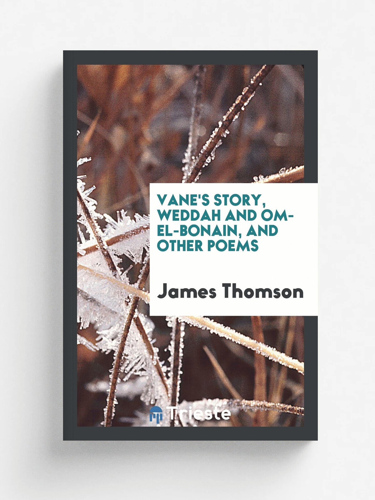 Vane's story, Weddah and Om-el-Bonain, and other poems