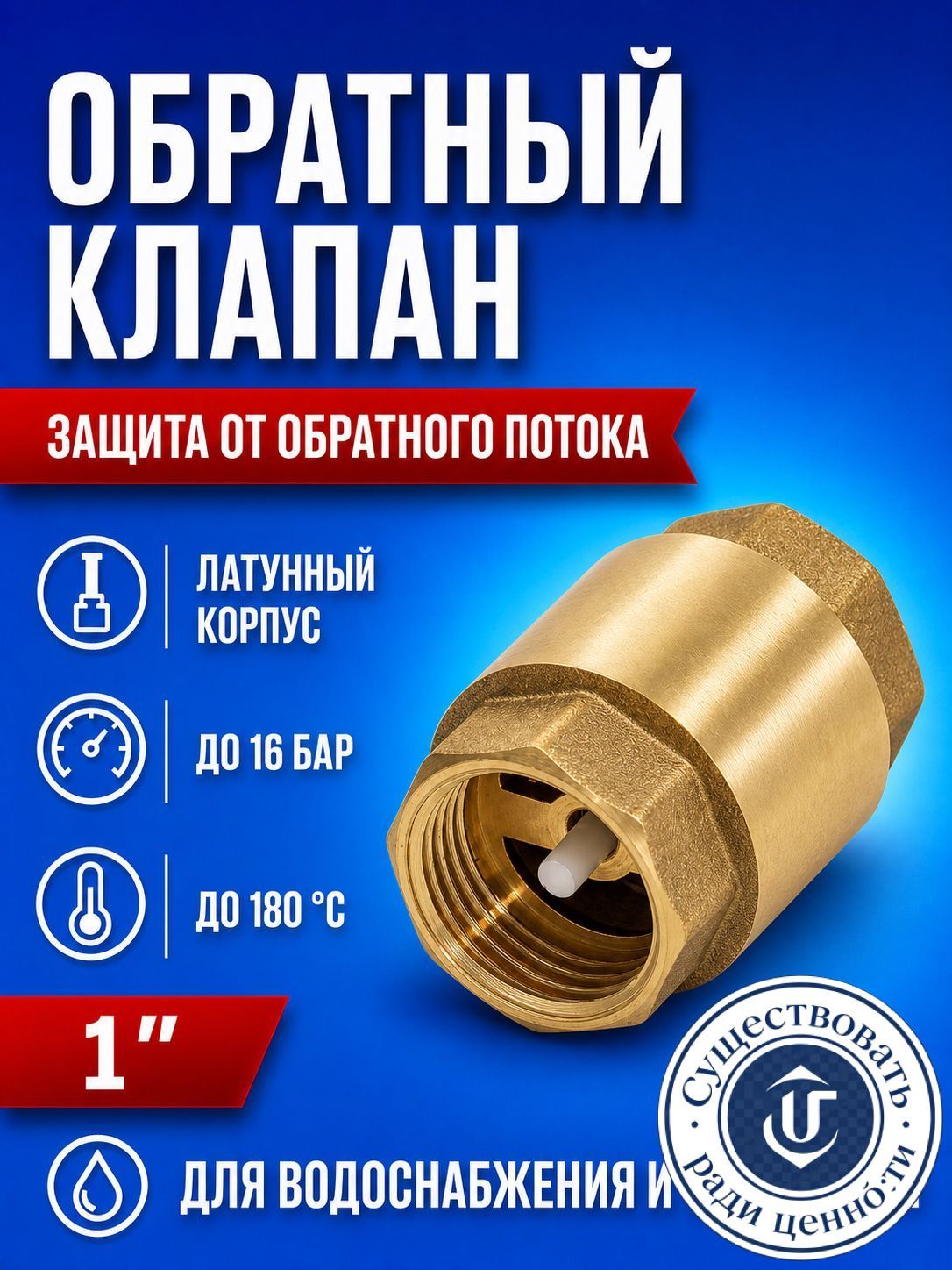 Обратный клапан 1" CTM