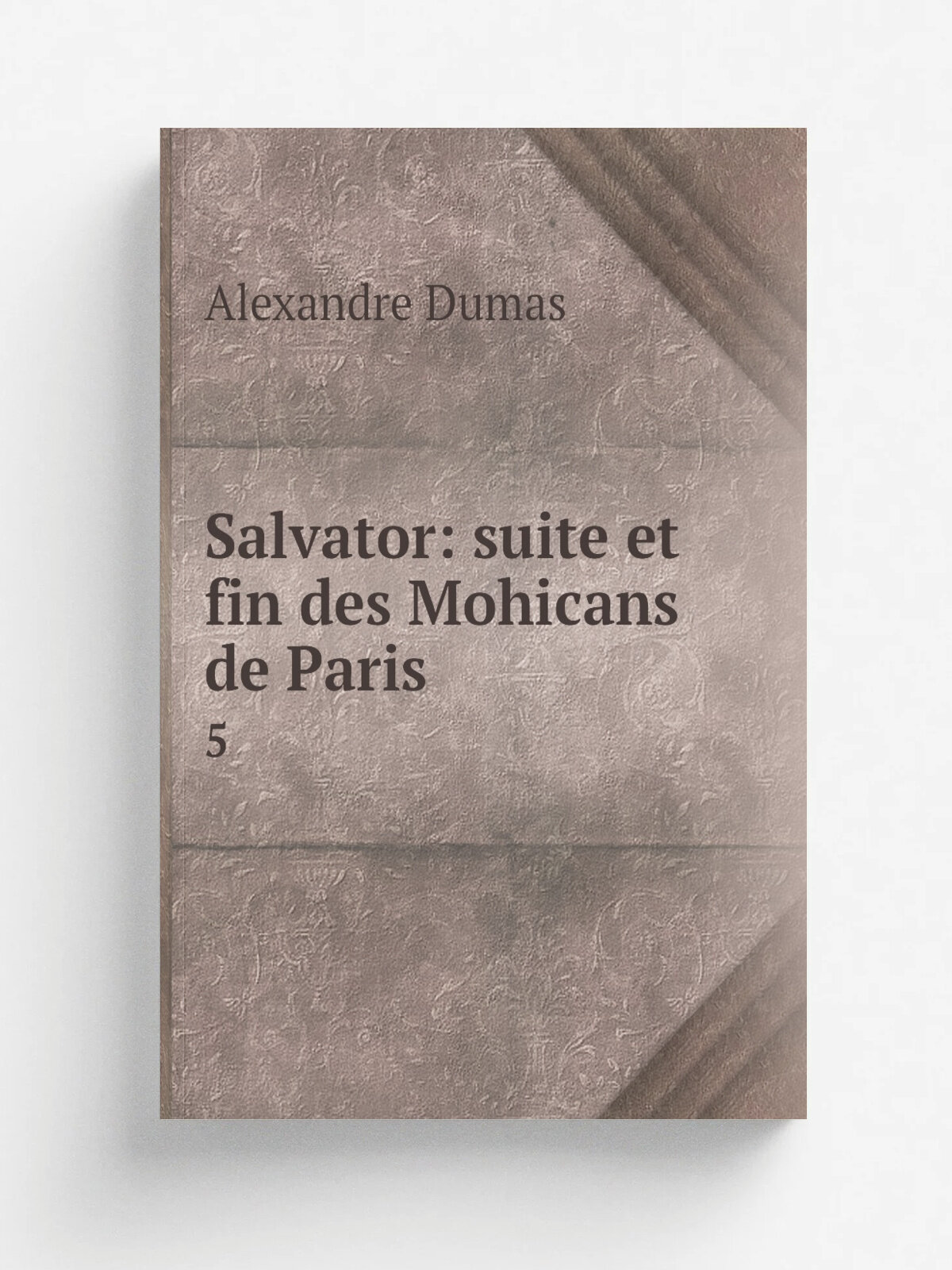 Salvator: suite et fin des Mohicans de Paris. 5 | Alexandre Dumas | 1873 | L.vy | Репринт