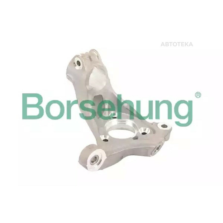 Кулак поворотный VAG BORSEHUNG B18510