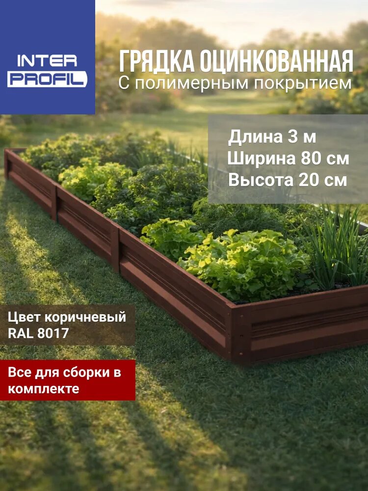 INTERPROFIL Грядка 3х0.8 м 1 шт