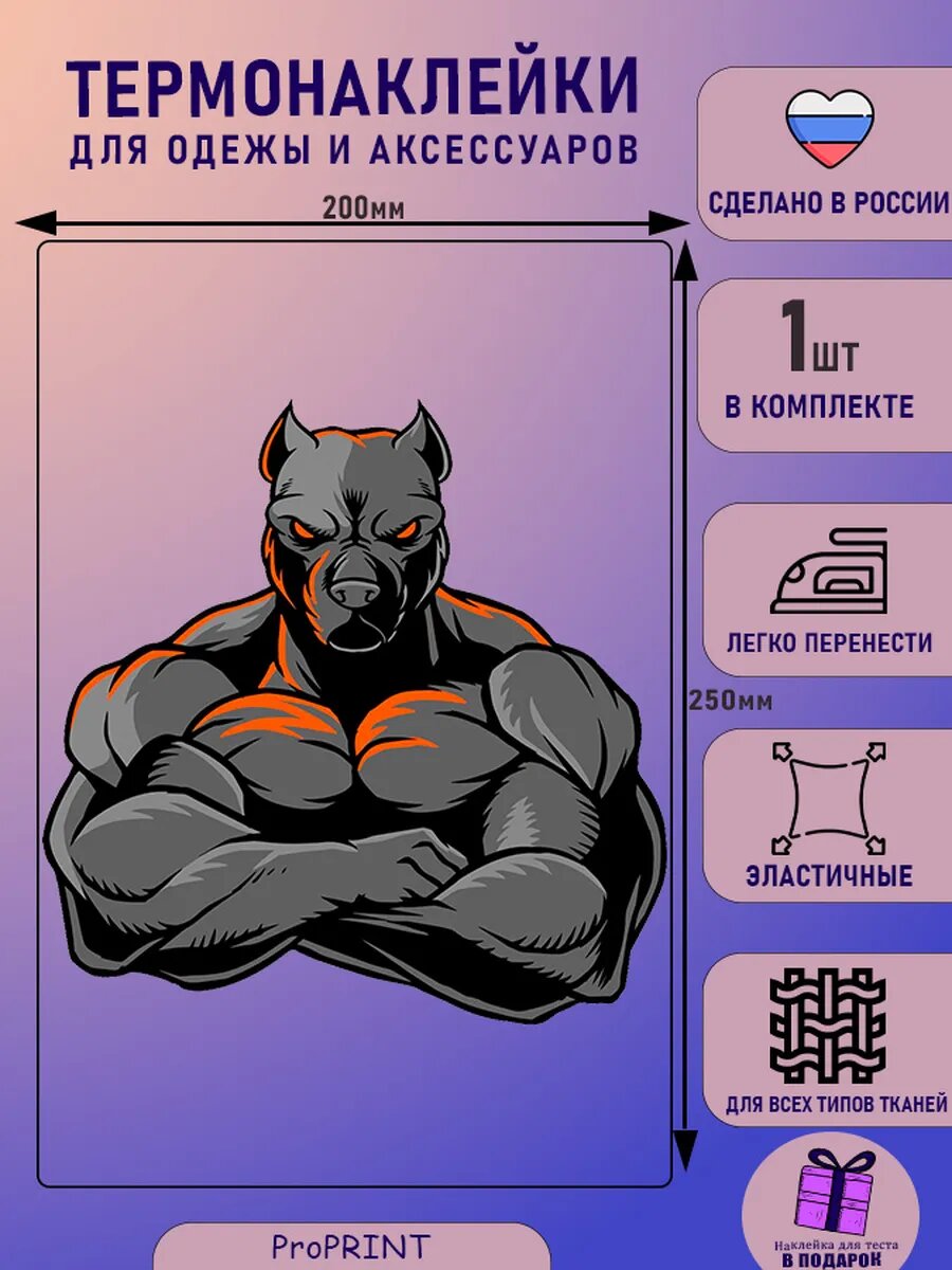 Термонаклейка для одежды