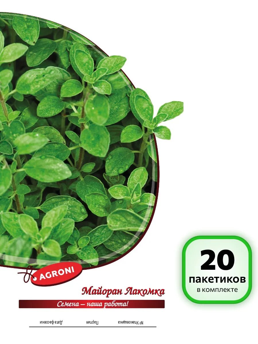 (20 шт.) - Семена Майоран Лакомка (0,3г)