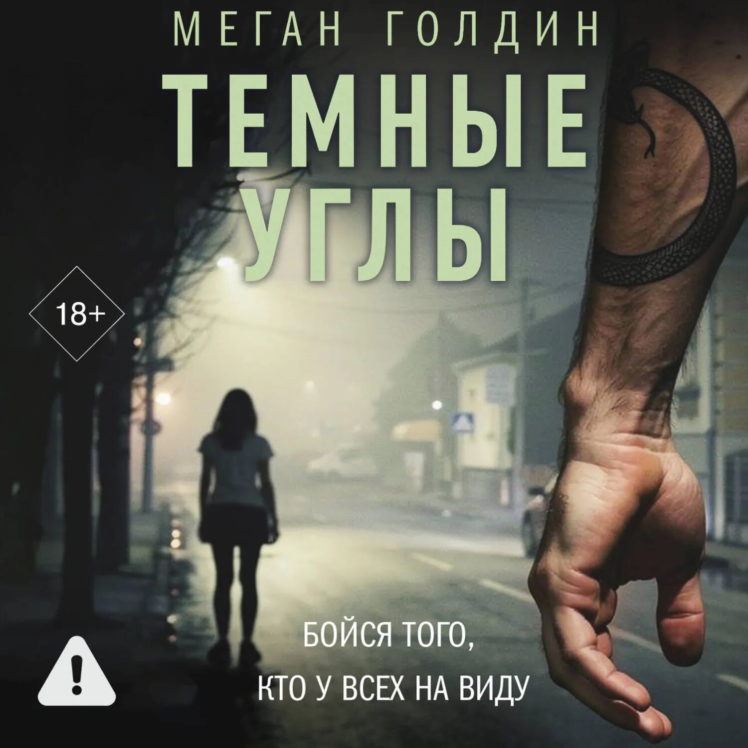 Темные углы [Аудиокнига]