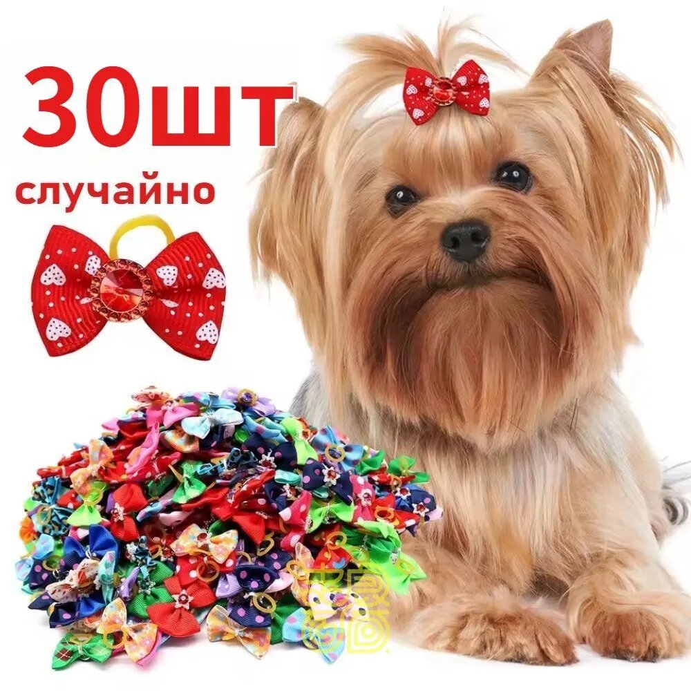 Резинки-бантики для домашних животных, 20/30/40 шт.