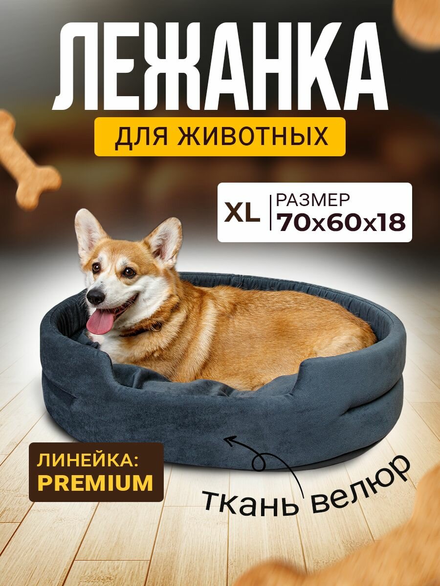 Лежанка для кошек и собак средних и крупных пород с бортиками Mad Lion Велюр 70х60 см