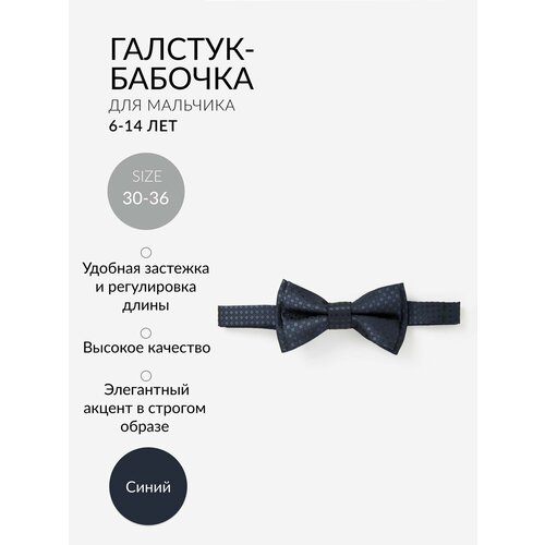 фото Бабочка gulliver, синий